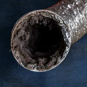 Clogged dryer vent requiring professional dryer vent cleaning in Quincy IL